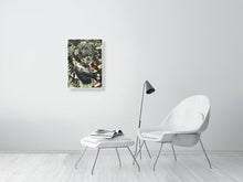 Load image into Gallery viewer, 9023456-3440042
