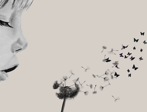 A Child's Wish