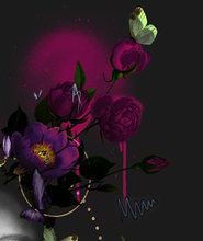 Load image into Gallery viewer, Vega
