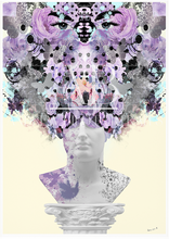 Load image into Gallery viewer, Alexander
